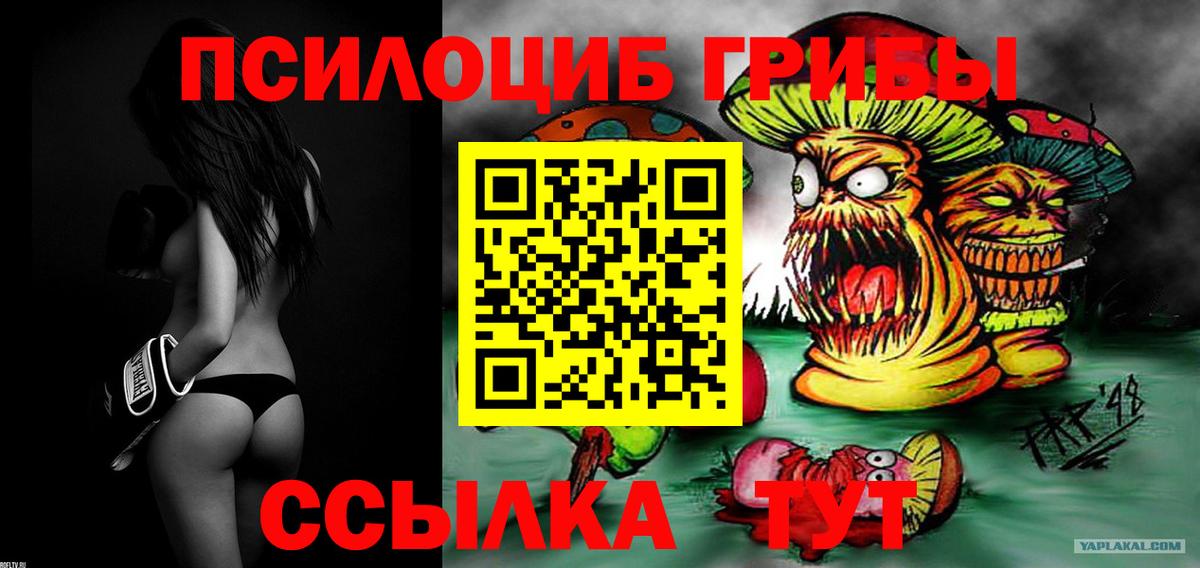 Псилоцибиновые грибы Cubensis Зеленогорск