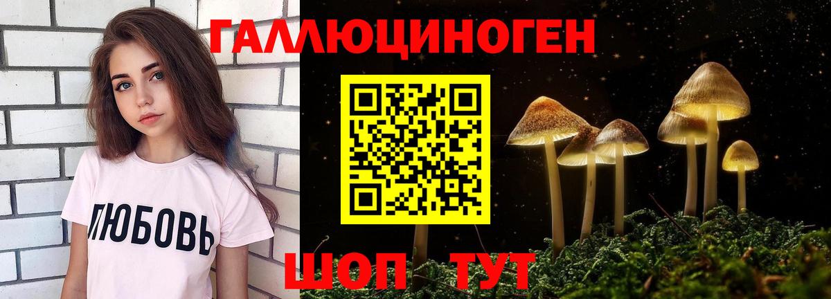 купить закладку  Вход с VPN  Зеленогорск  Галлюциногенные грибы MAGIC MUSHROOMS 